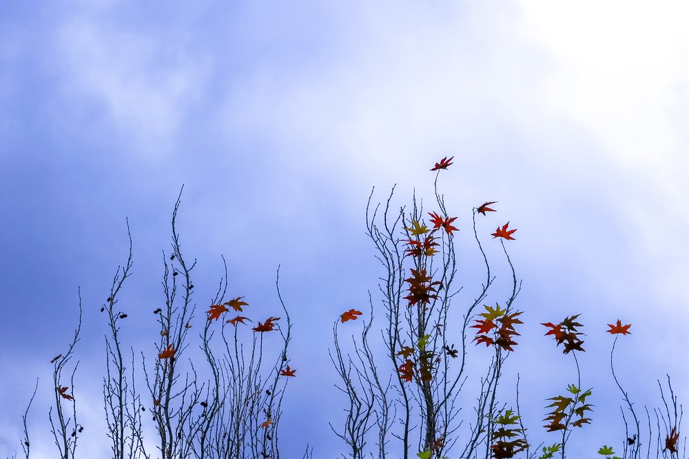 Photograph by bahar rismani