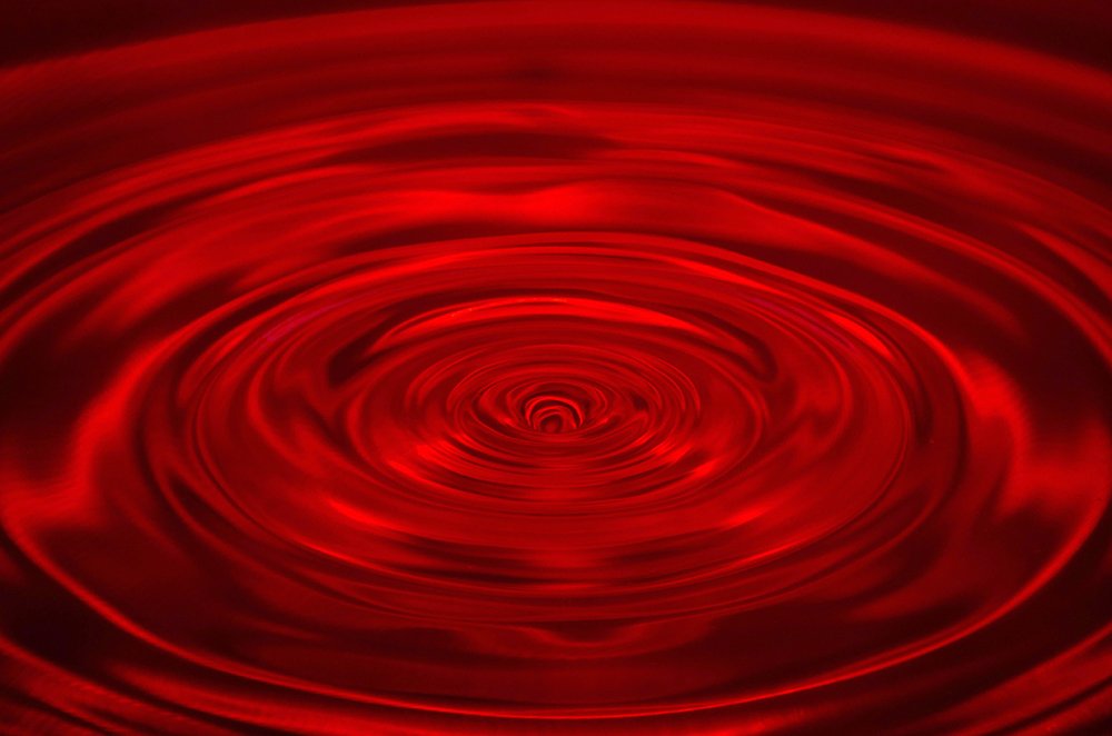 Photograph by Sahar Jafari