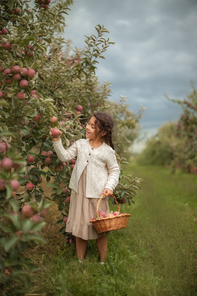 Apple season in Canada