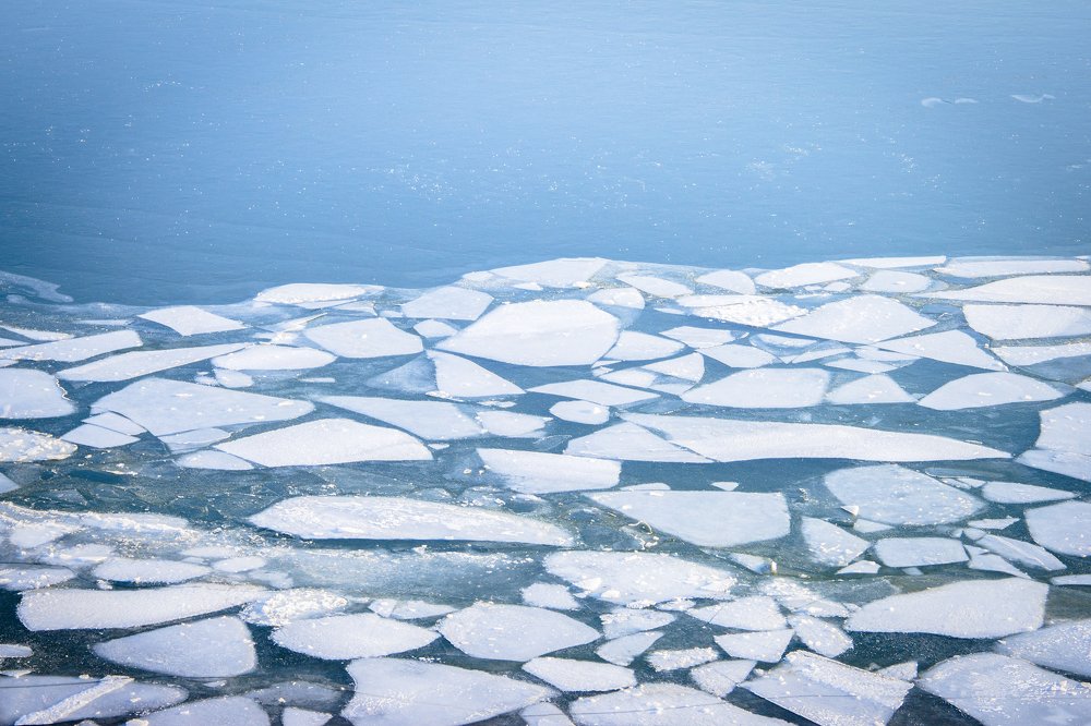 Photograph by bahar rismani