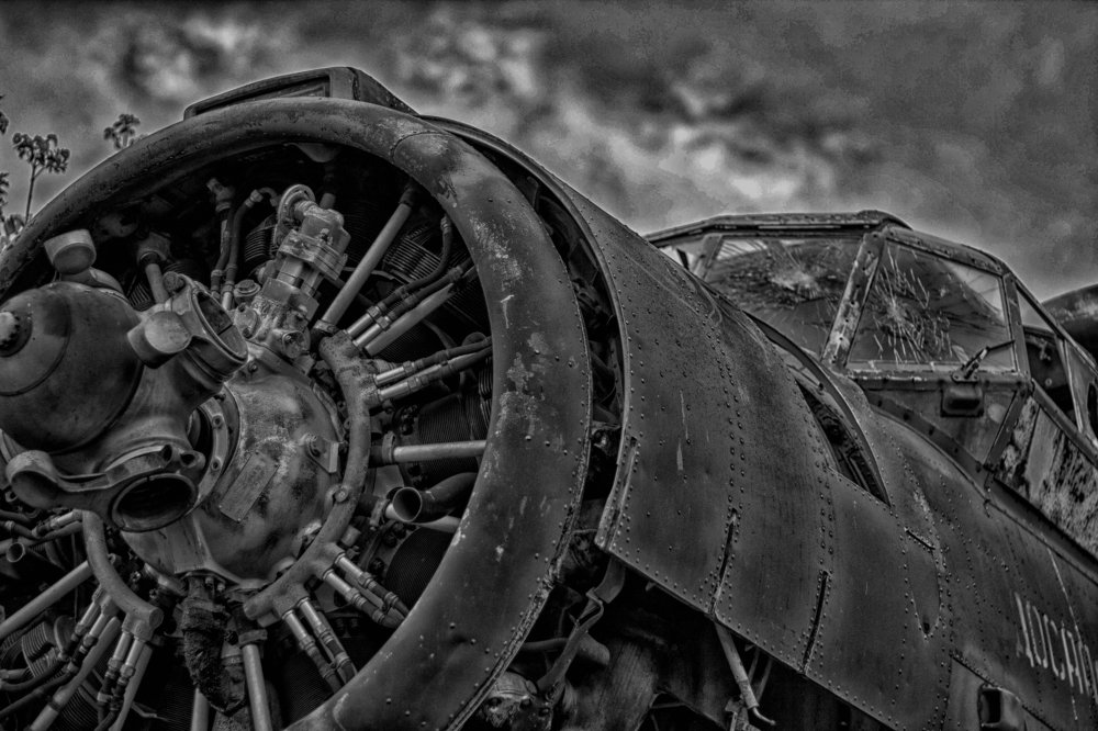 Photograph by Мари Полищук