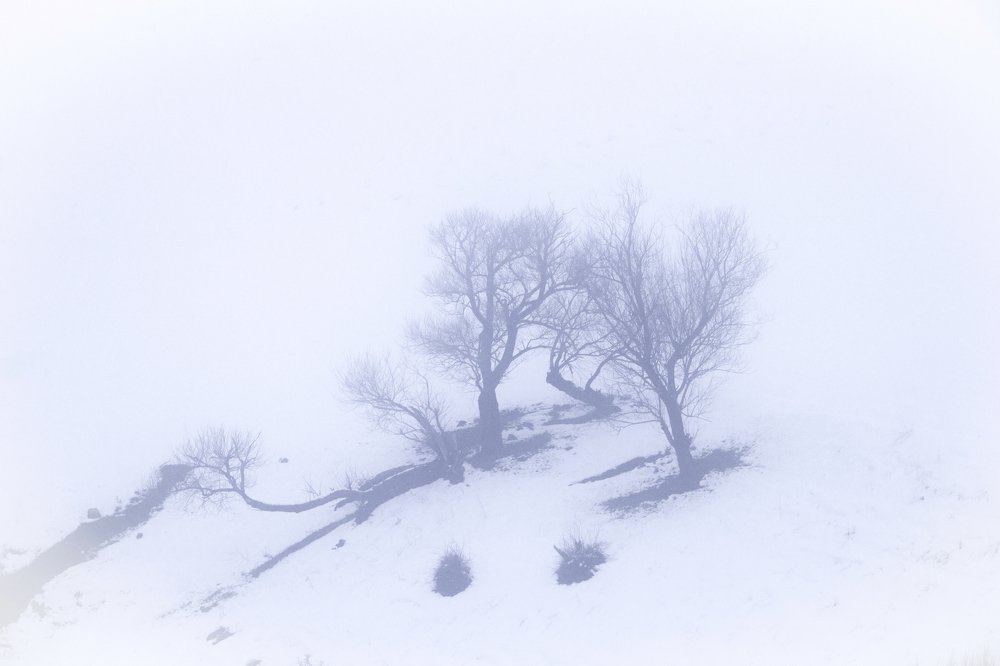 Photograph by bahar rismani