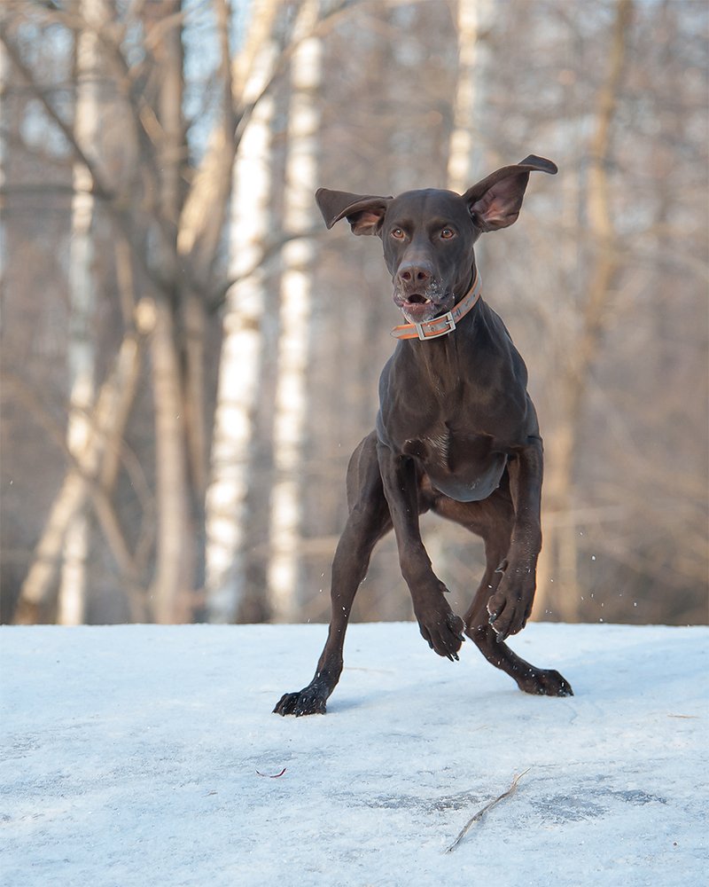 Photograph by Валерий Субачев
