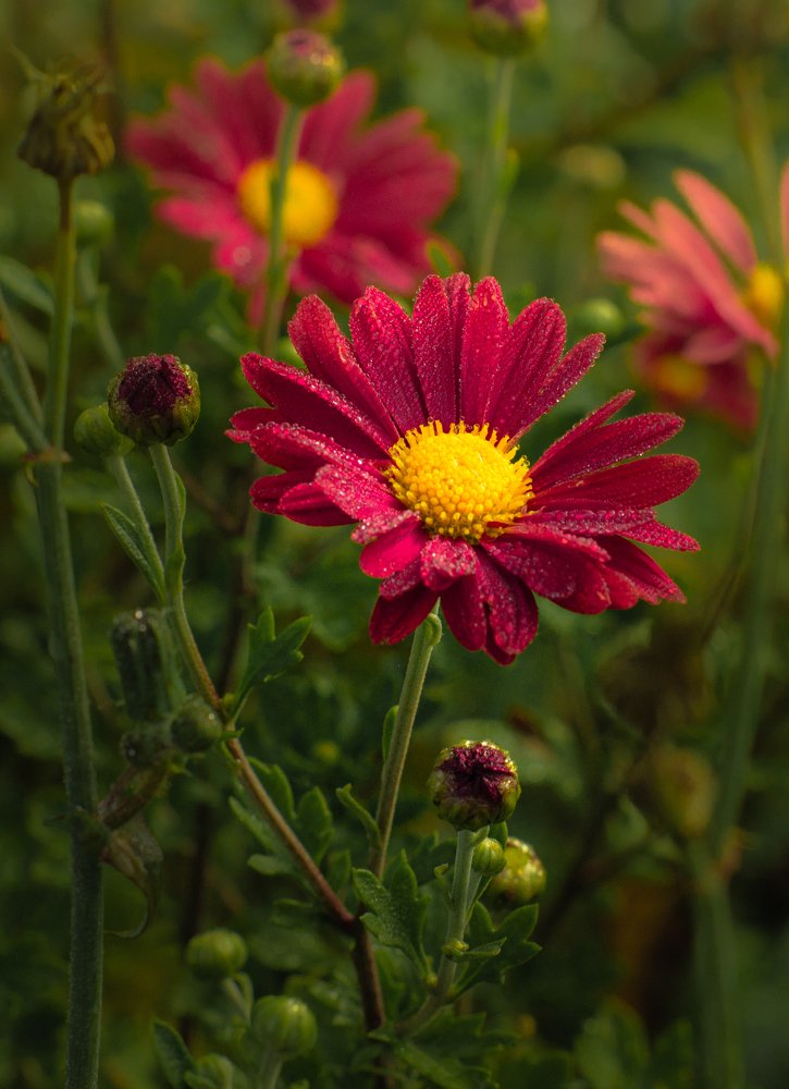 Photograph by Елена Кулакова