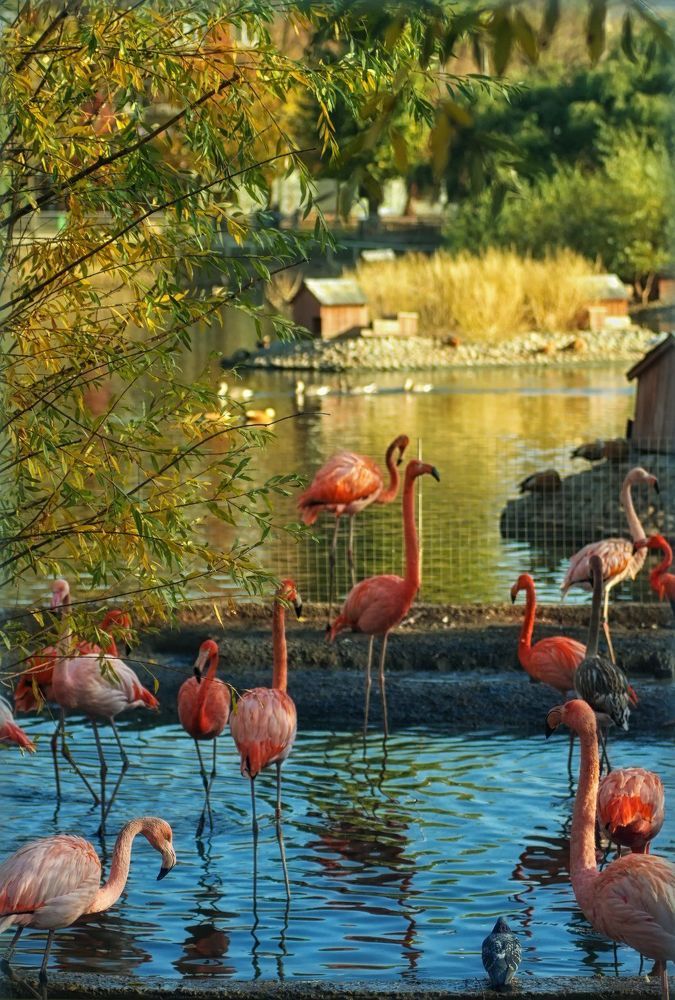 Фотография автора Александра