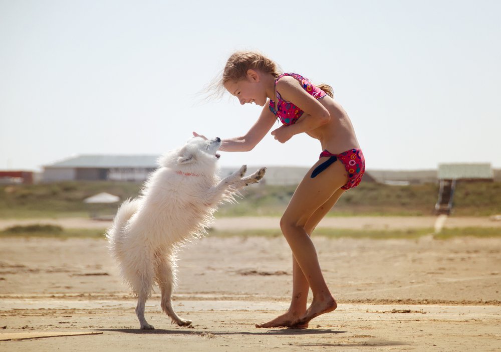 Мы танцуем буги-вуги