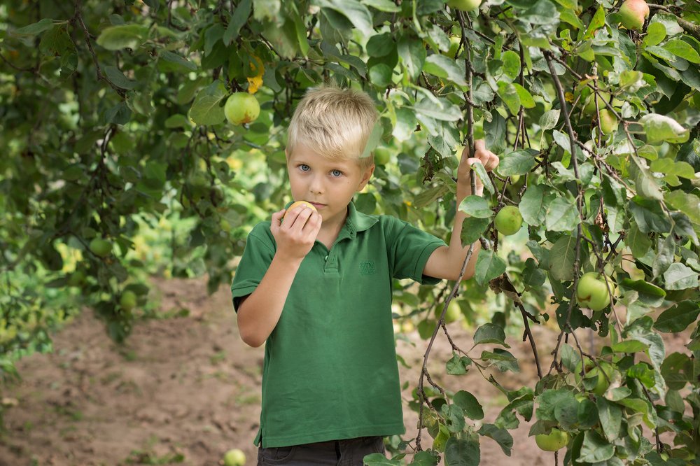 Photograph by Анастасия Парчевская