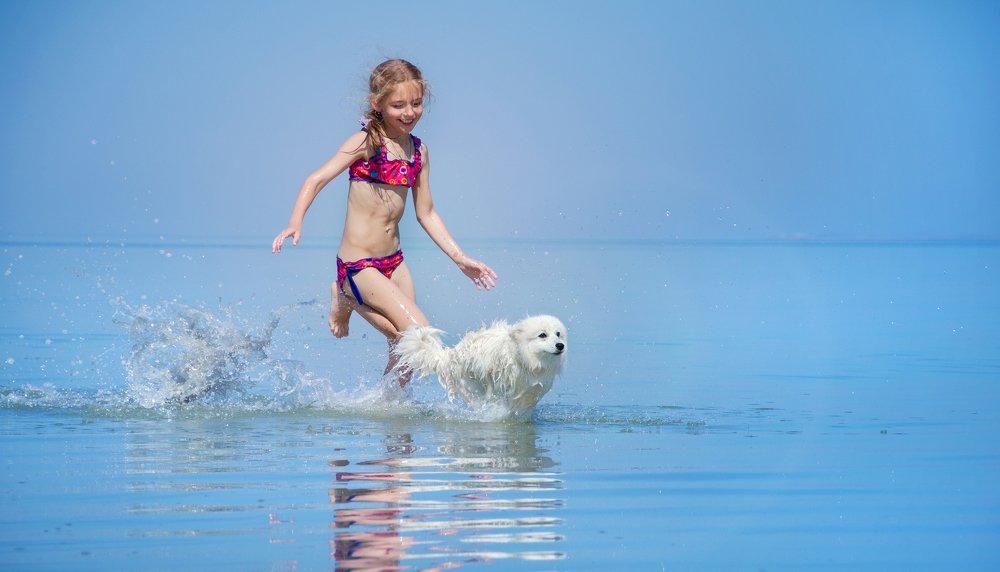 Догони меня