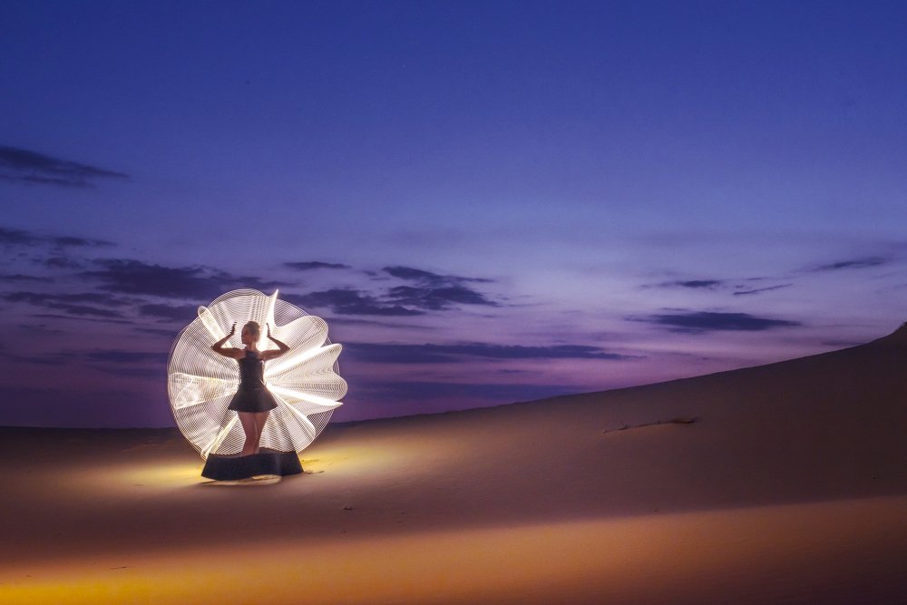 Flower in the desert