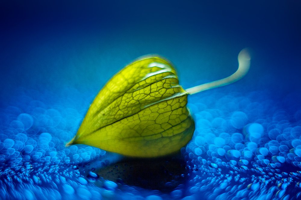 Photograph by Иван Радьков