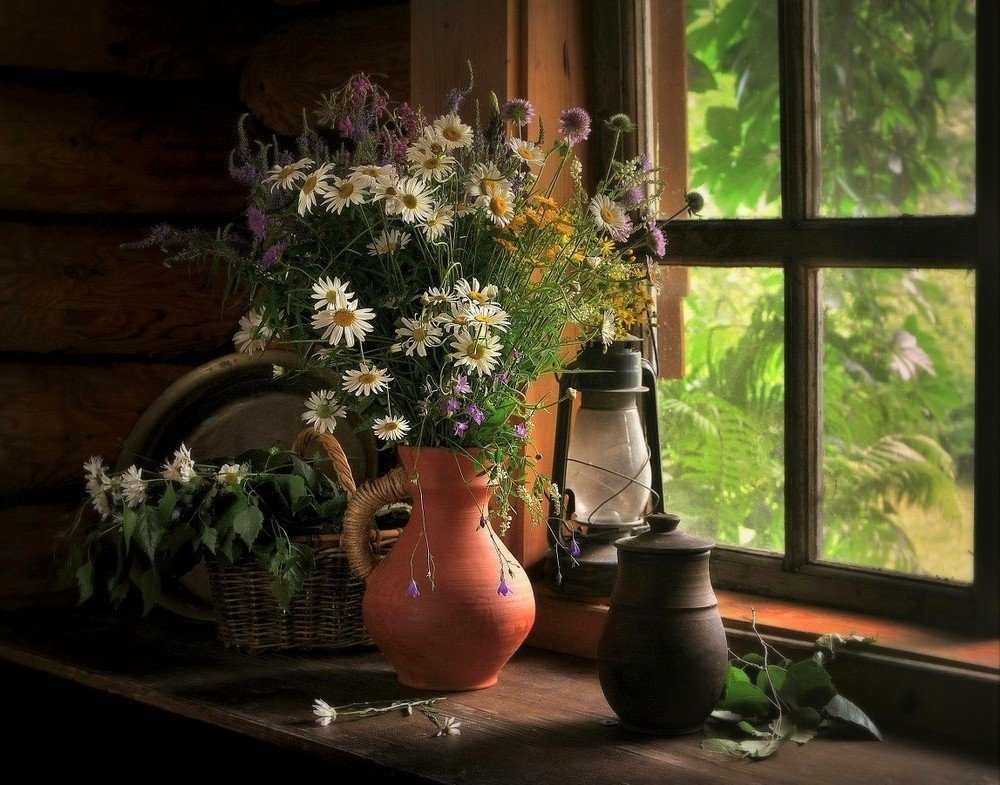 Окно в лето