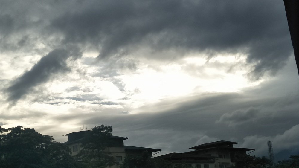 Photo #3674498