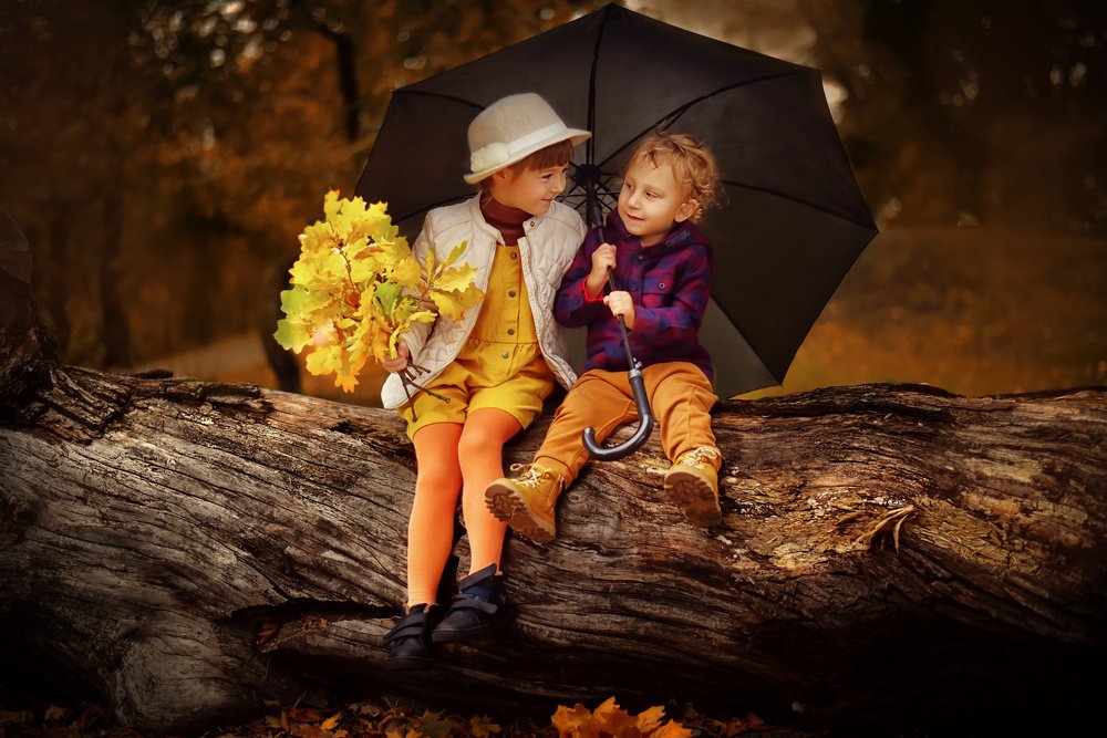 Братская любовь