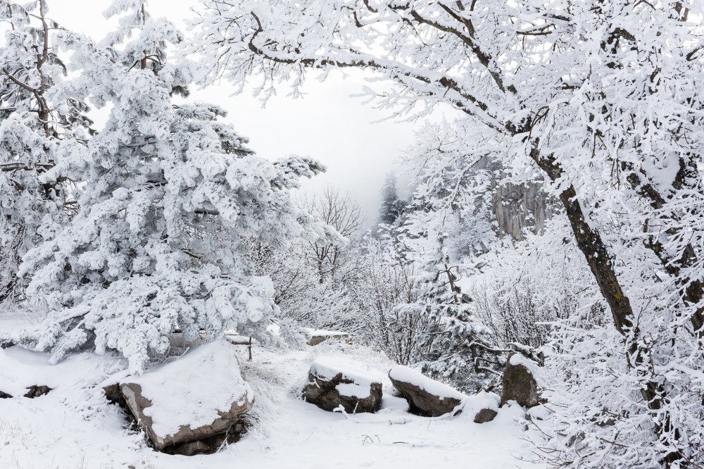 Зимушка-зима