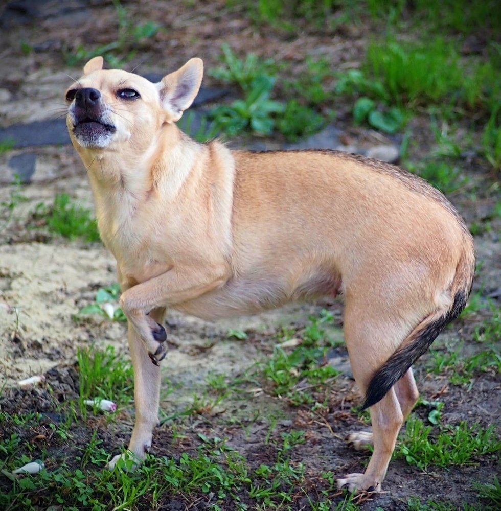 Photograph by Елена Трапезникова