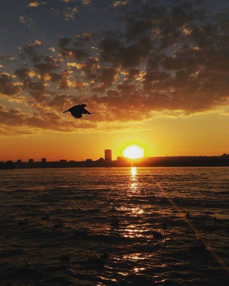 Photograph by Юлия Гагарина