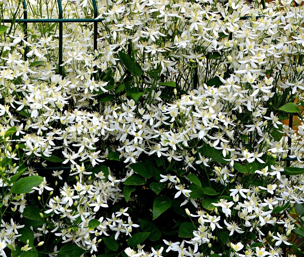 Photograph by Алексей Епишин