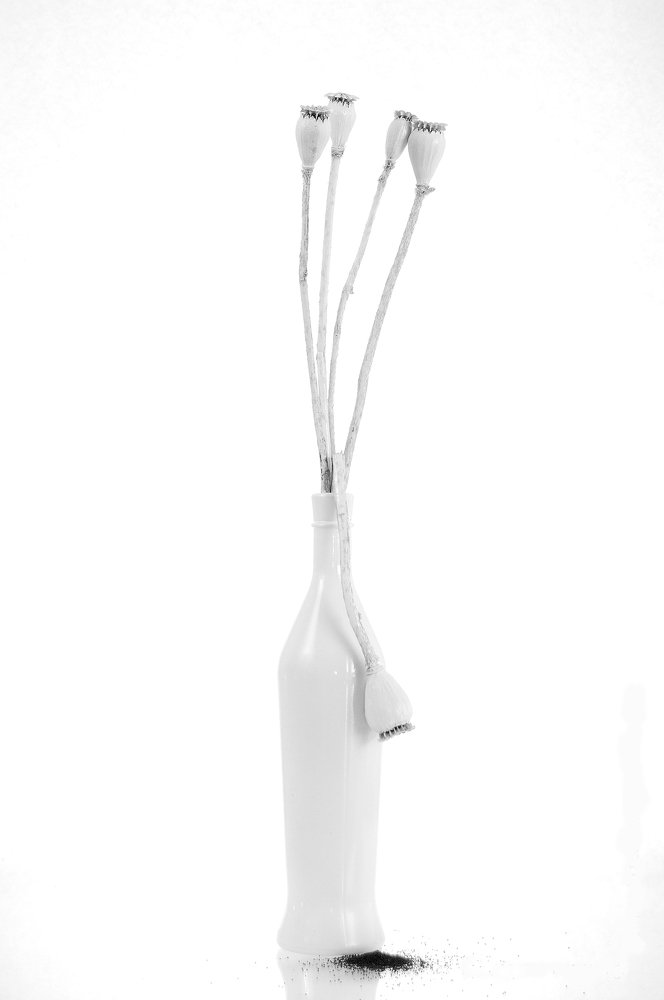 Photograph by Владимир Новиков