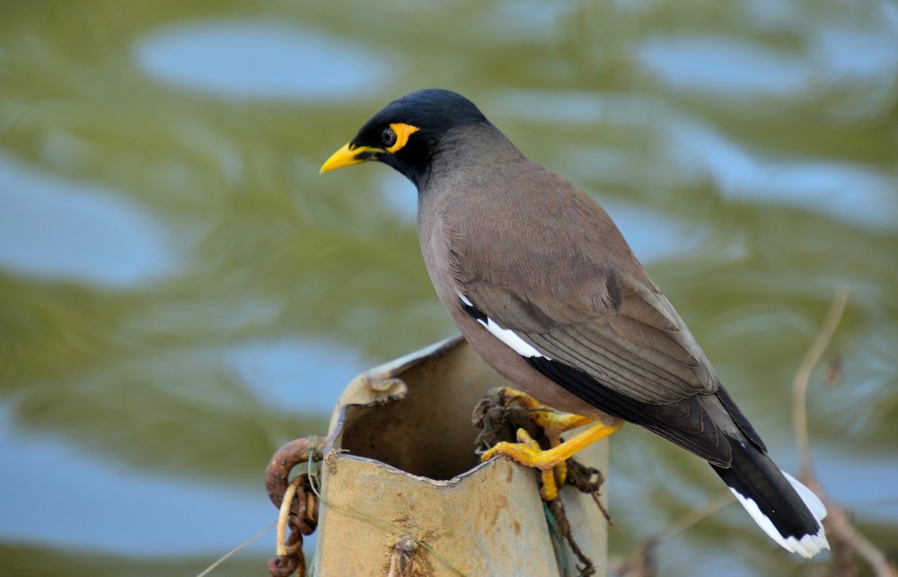 Photograph by Анатолий Хальман