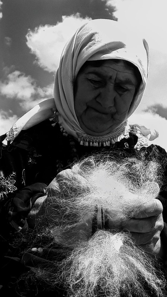 Photograph by omid zarei