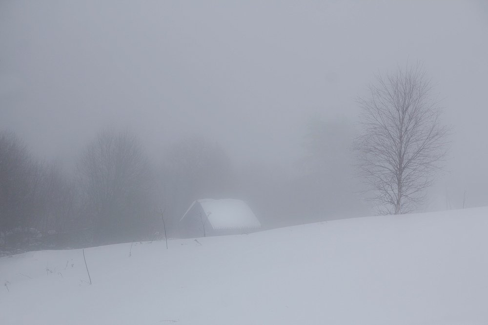 Photograph by Pavel Vaschenkov