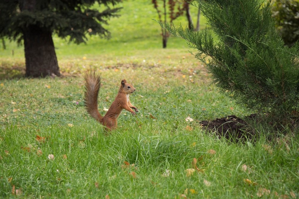 Photograph by Елена Терновая