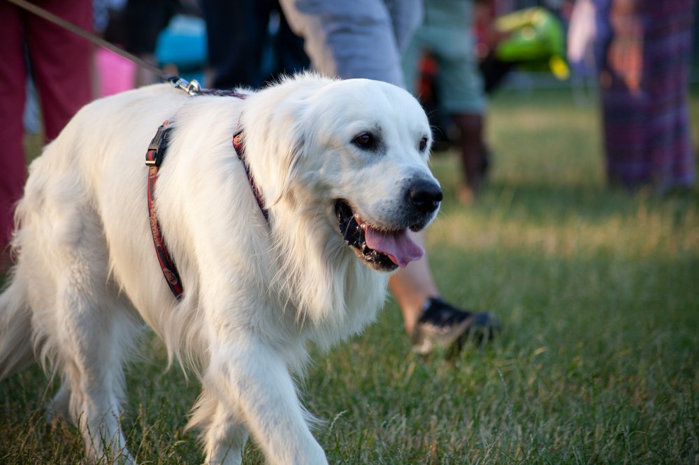 Photograph by Артем Кравец