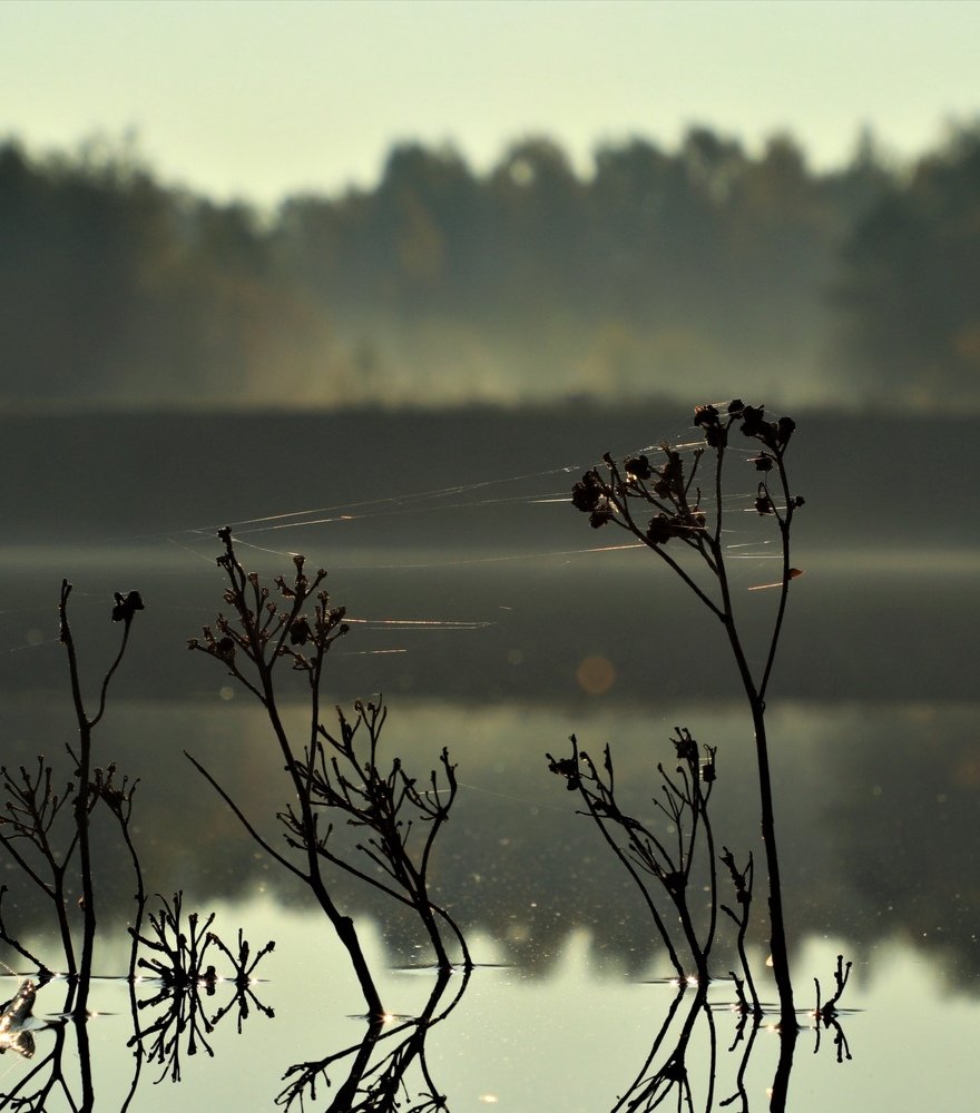 Photograph by Яна Велижанина
