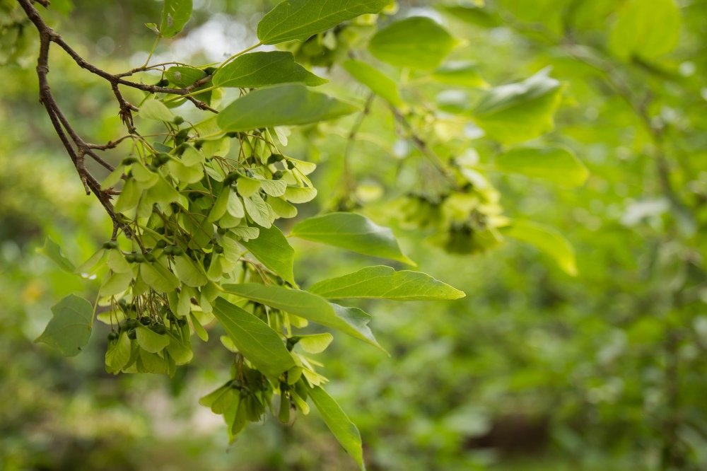 Photograph by Елена Терновая