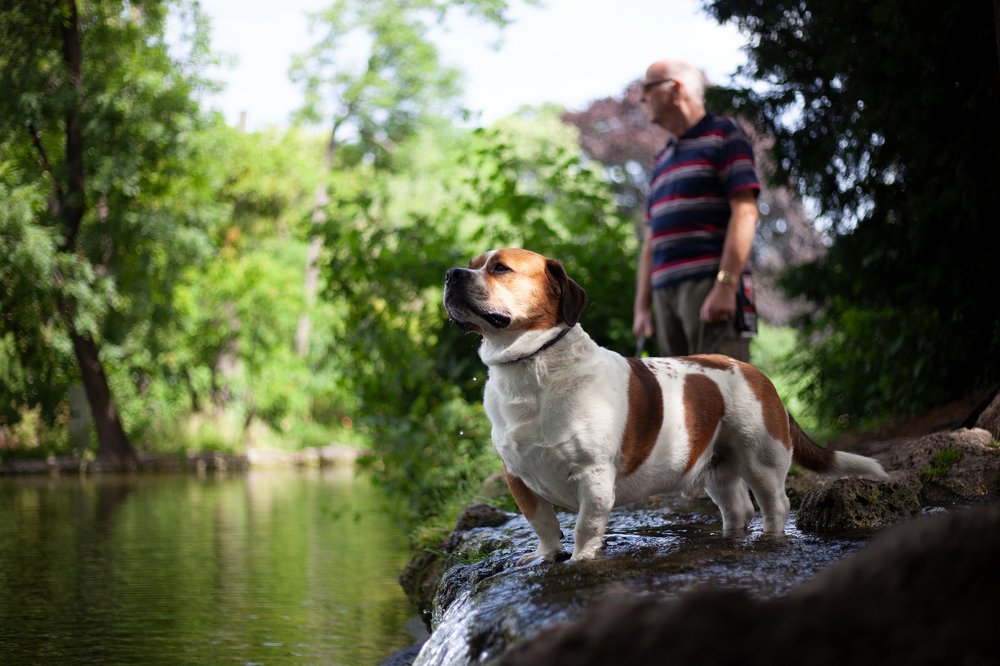 Photograph by Артем Кравец