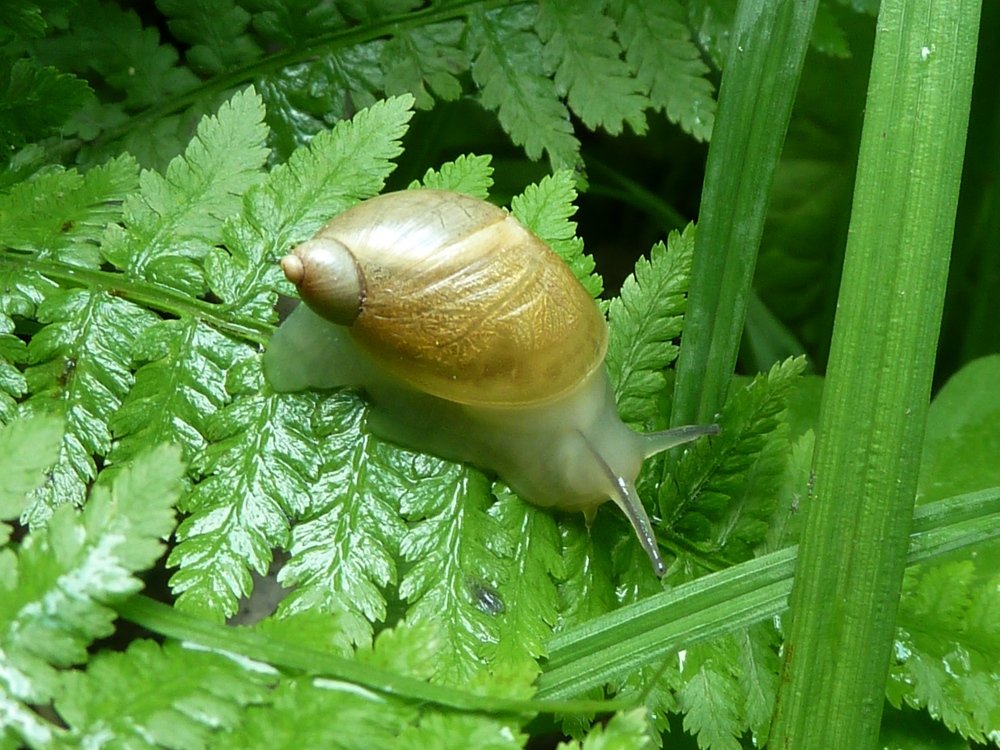 Фотография автора Марина Горбулина