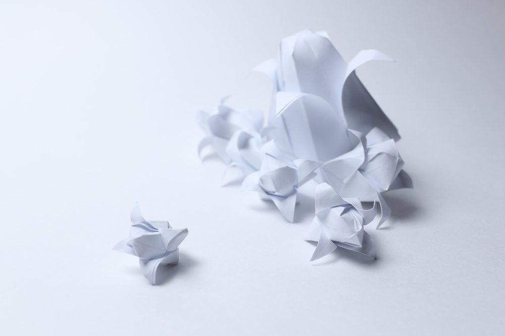 Photograph by Elena Mingazova