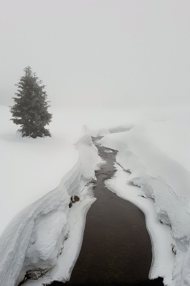 Somewhere among the snow...