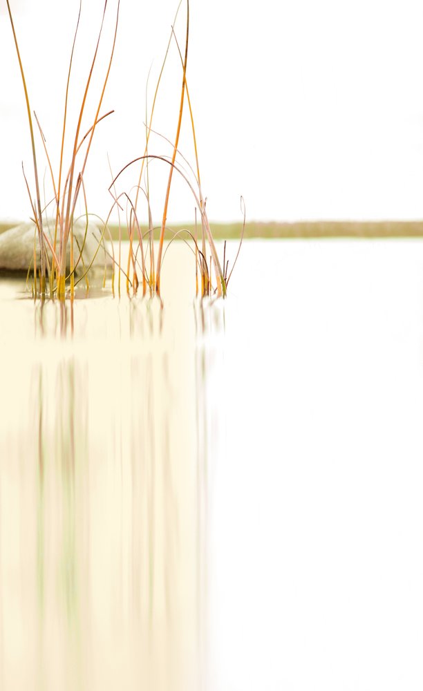 Photograph by Viktoria Baranova