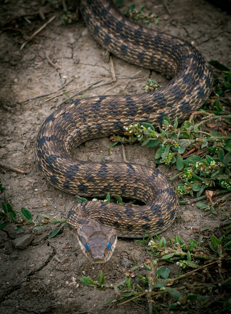 Photograph by Сергей Савенков