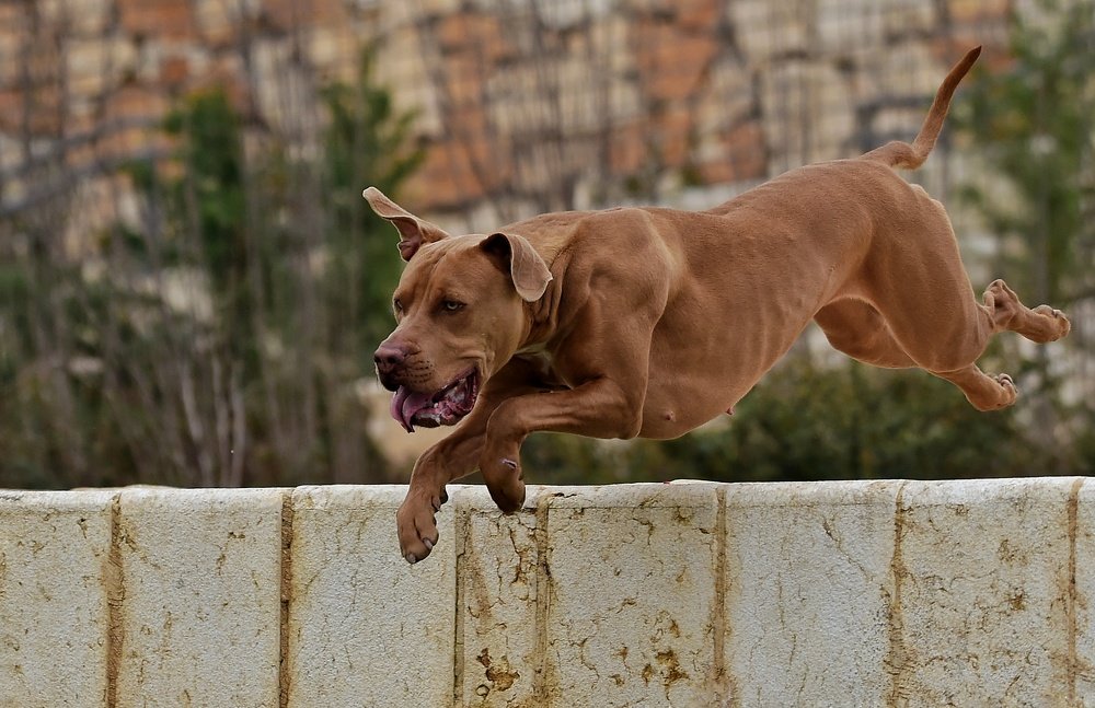 Photograph by Виктор Бондарев