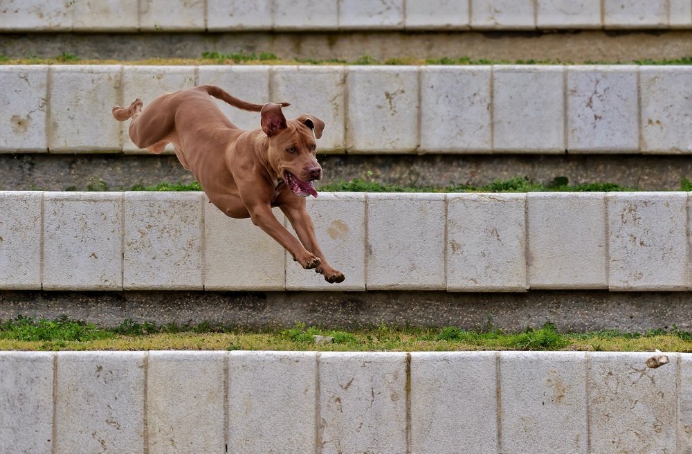 Photograph by Виктор Бондарев