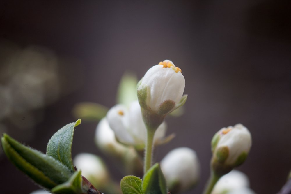 Фотография автора Вадим Топычканов