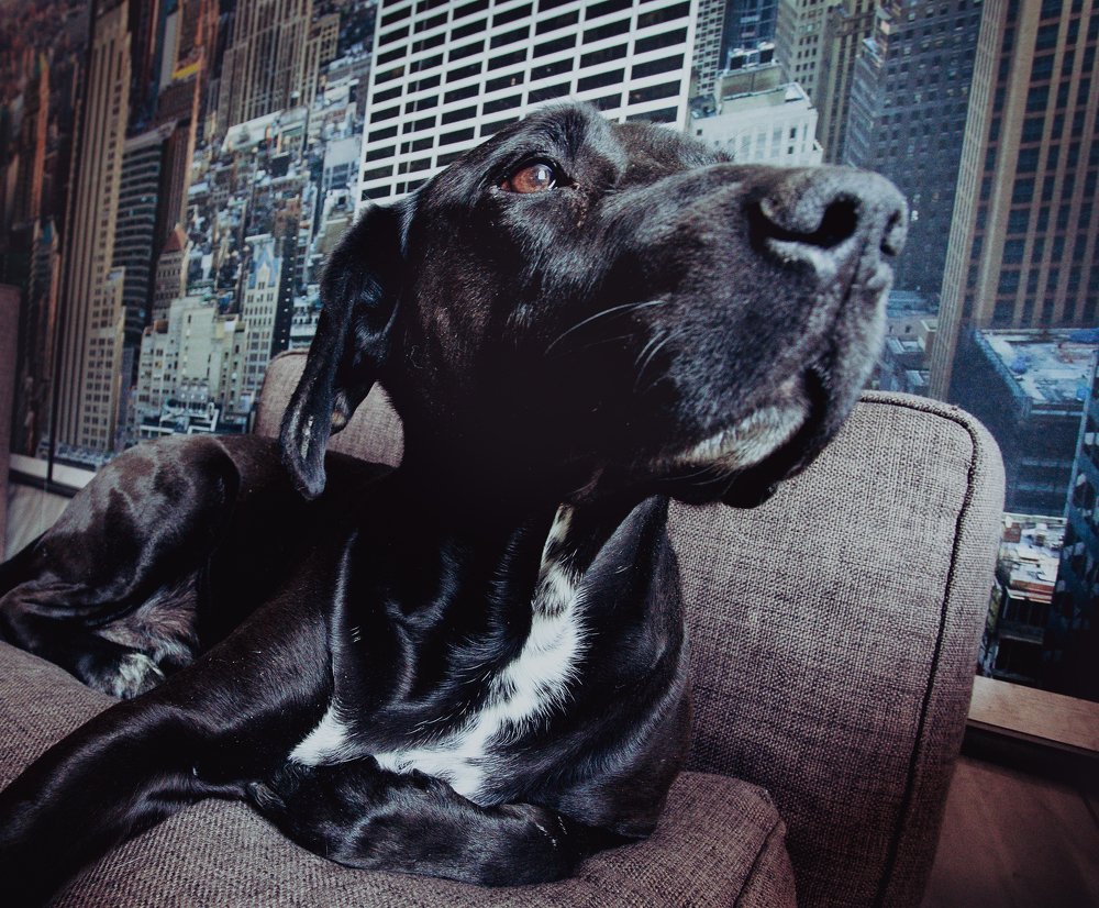 Photograph by Лев Кирьянов