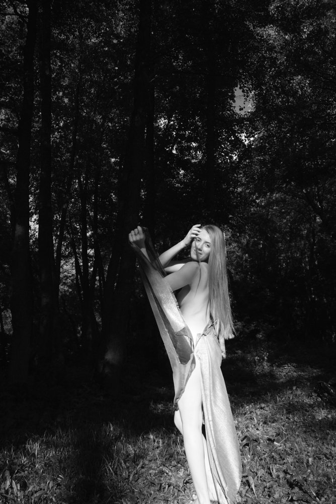 Photo #3675486