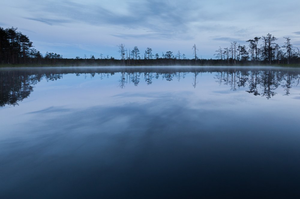 Photograph by Janek Moisavald