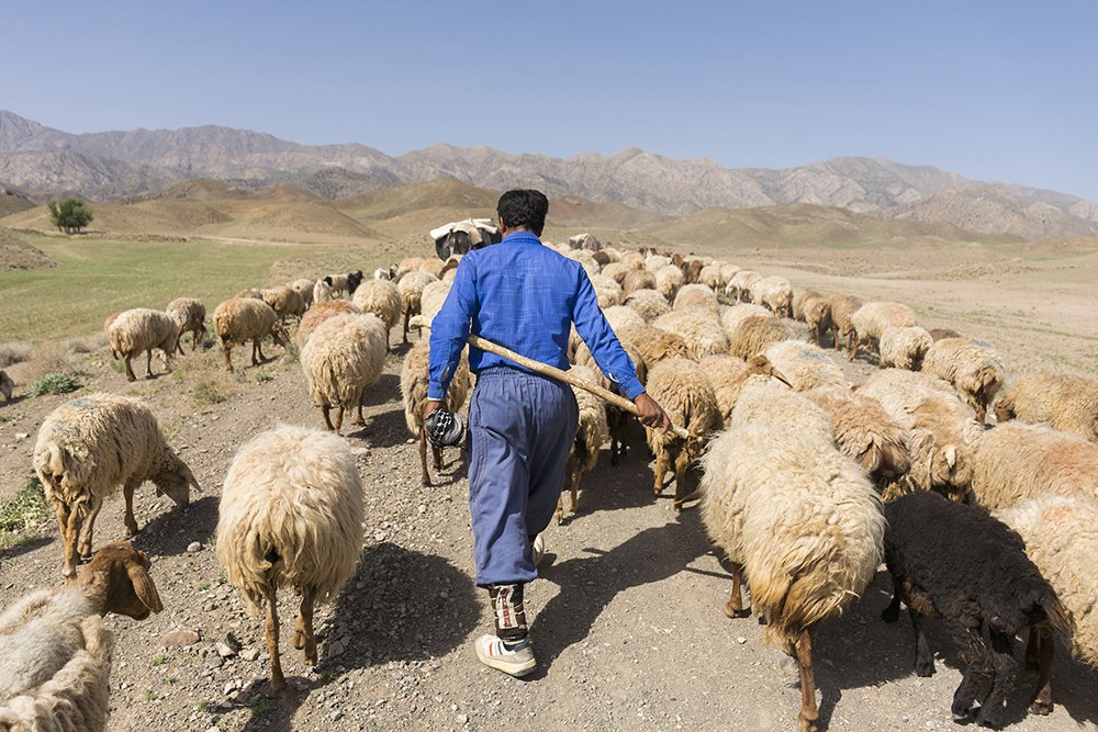 Photograph by Morteza Heidarian Mehr