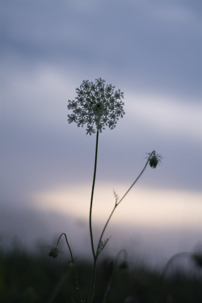 Photograph by Соша Грухина