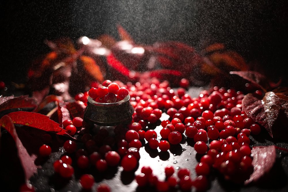 Photograph by Алена Зотова