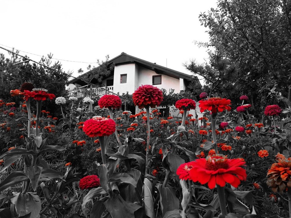 Photograph by Daniela Stanojkovska