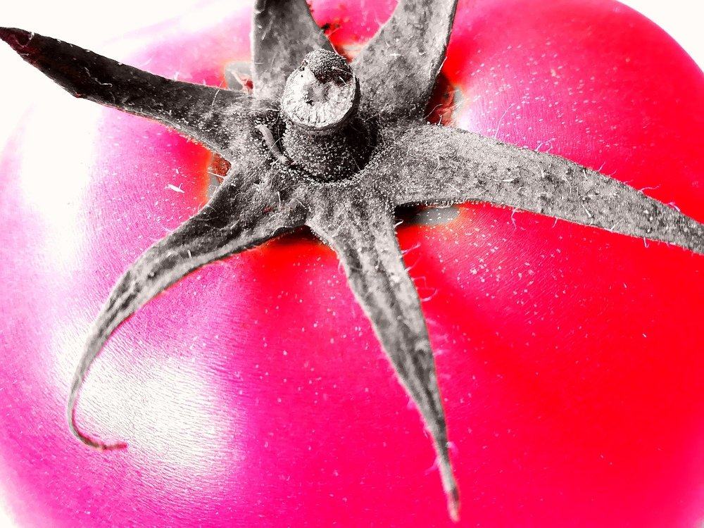 Photograph by Daniela Stanojkovska