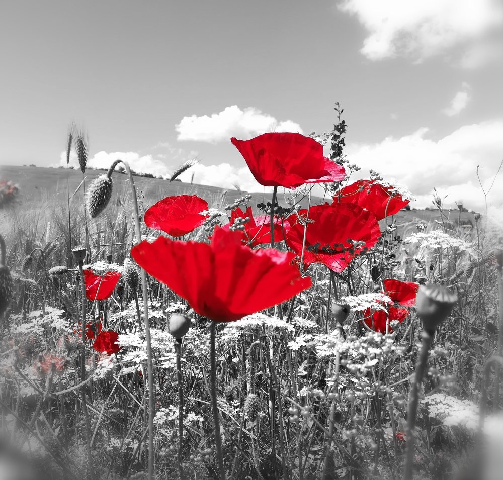 Photograph by Daniela Stanojkovska