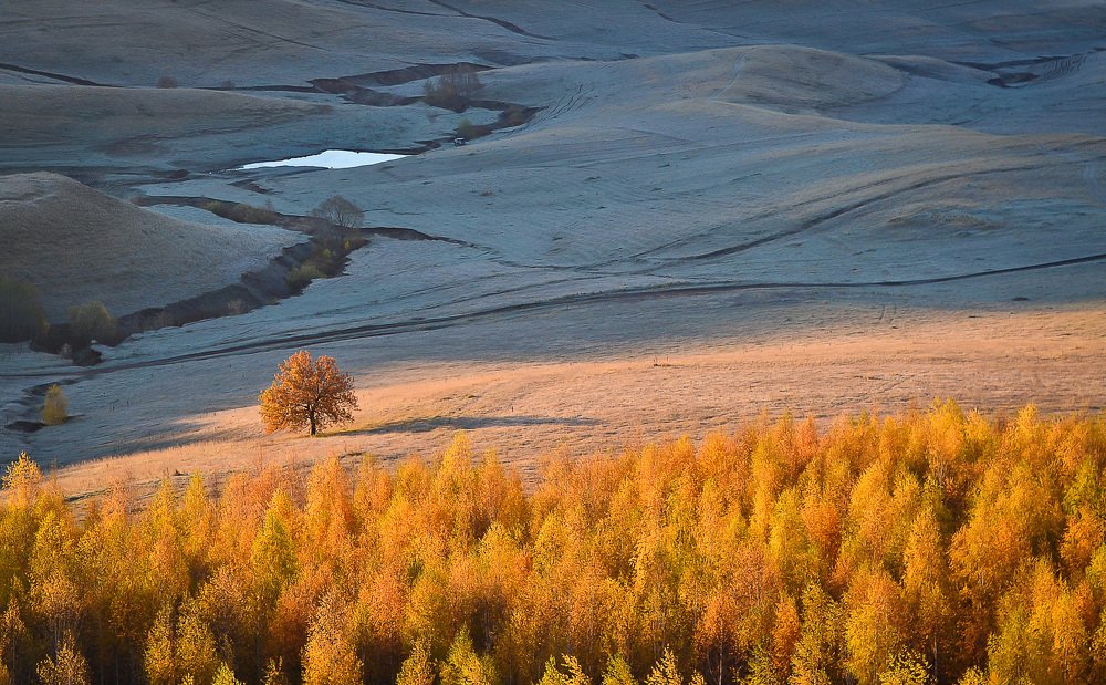Золотая осень в Чатыр тау