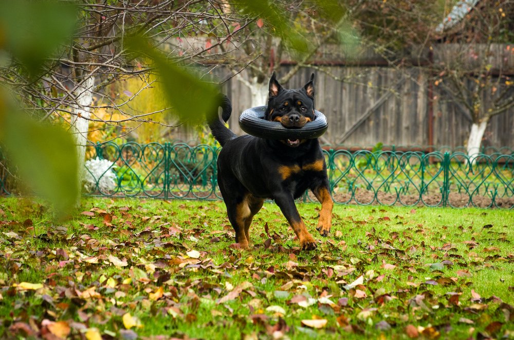 Photograph by Сергей Крюков