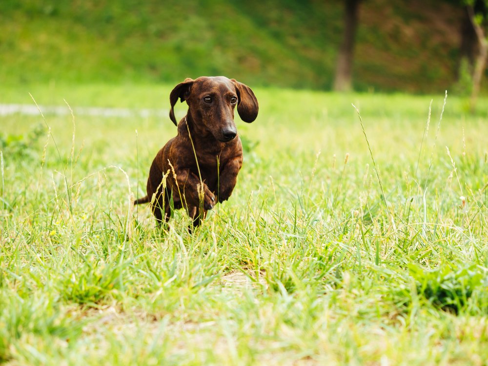 Photograph by Городничева Елена